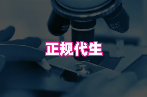 nub孕网 3