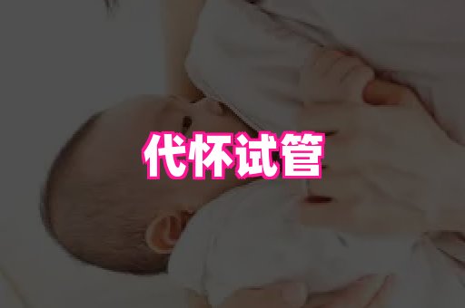 nub孕网 4